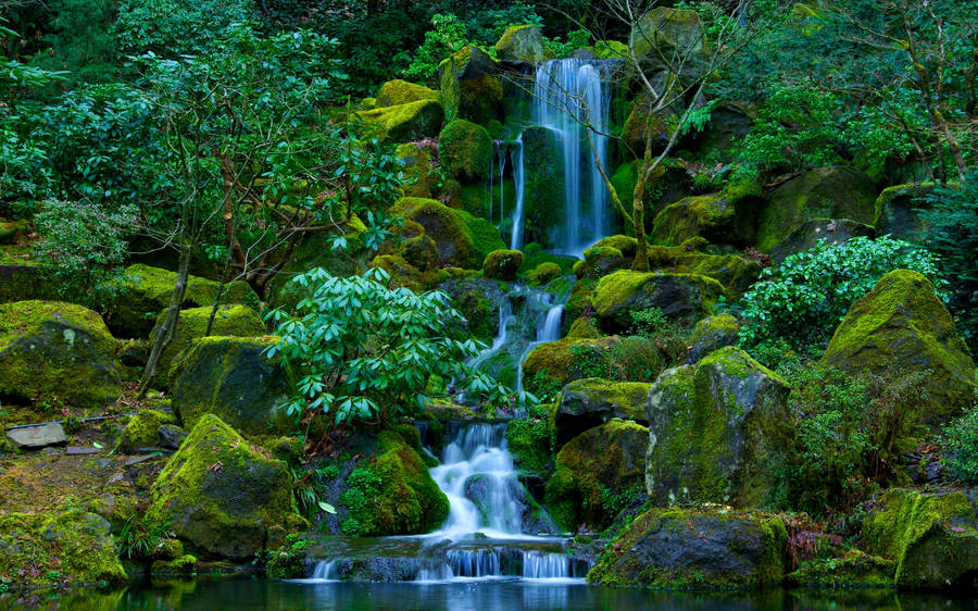 Japanese Garden Portland Oregon
